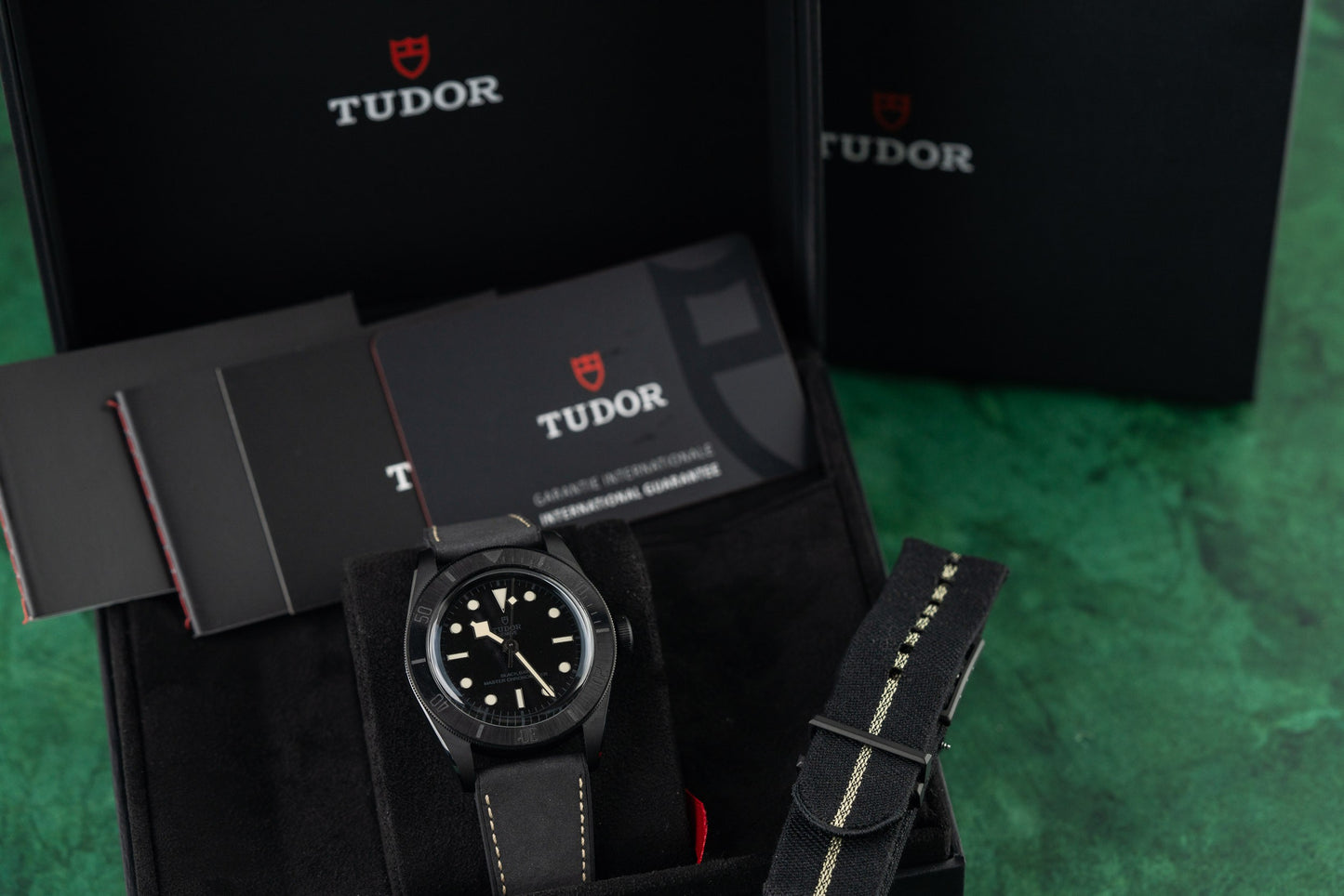 Tudor Black Bay Ceramic 79210CNU 2025 Model
