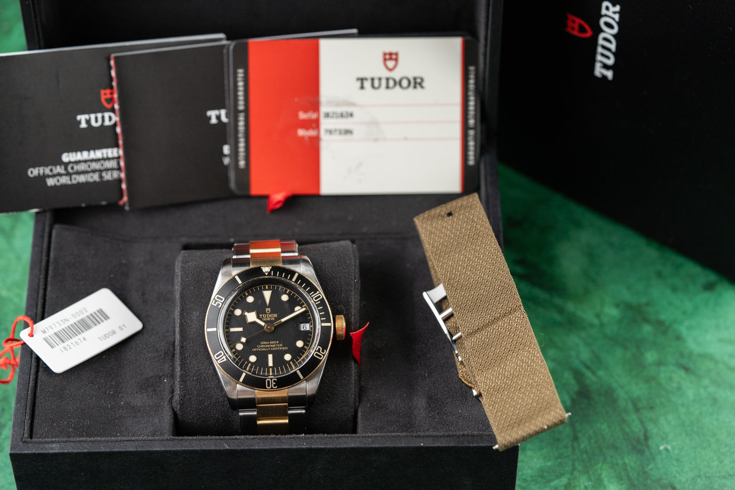 Tudor Black Bay Heritage 79733N Two Tone Yellow Gold 2019