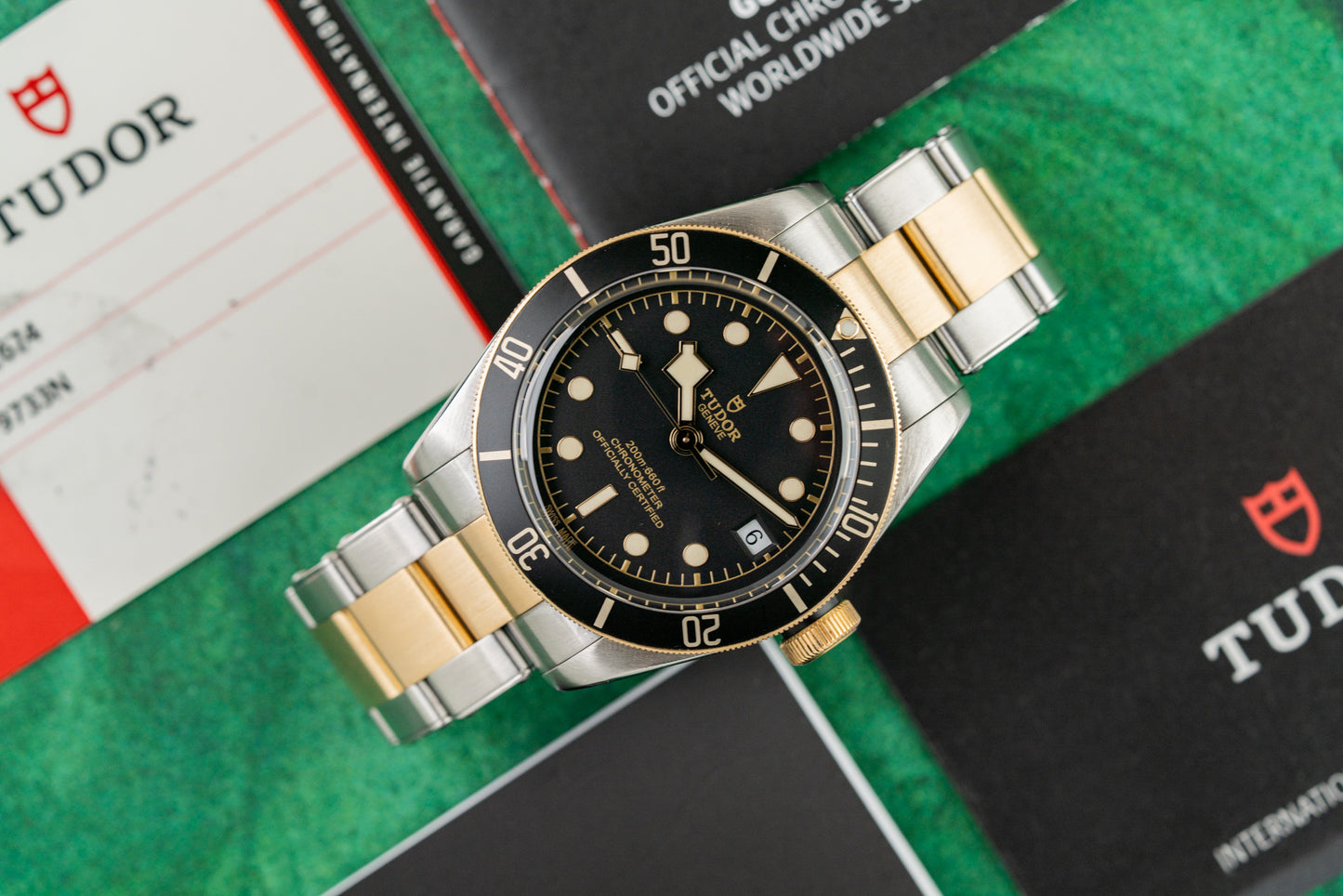 Tudor Black Bay Heritage 79733N Two Tone Yellow Gold 2019