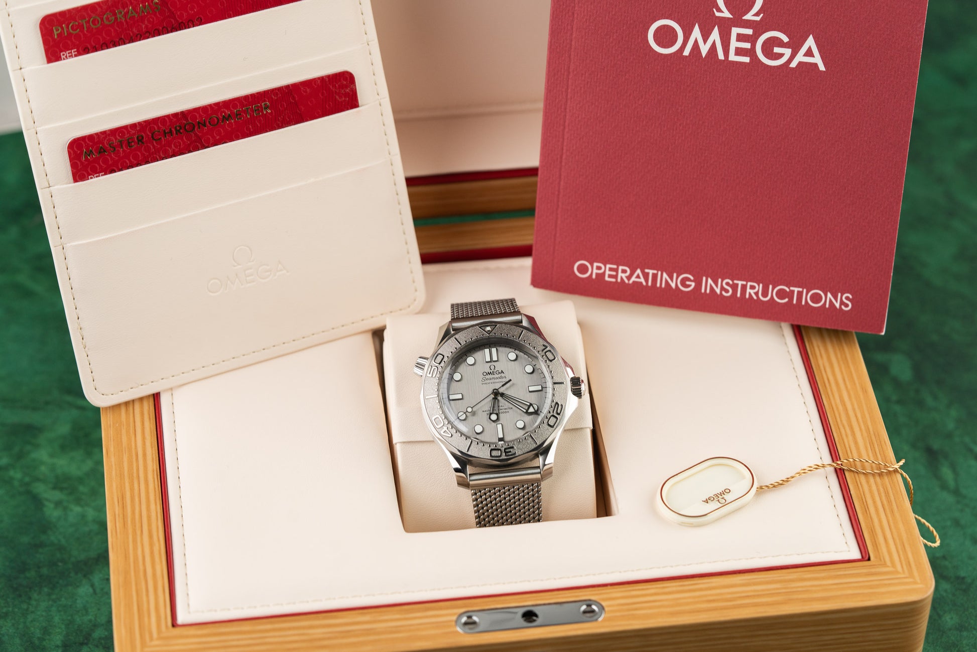 Omega Seamaster Diver 300m 210.30.42.20.06.002 Titanium Milanese 2025 - The Watch Business Sydney