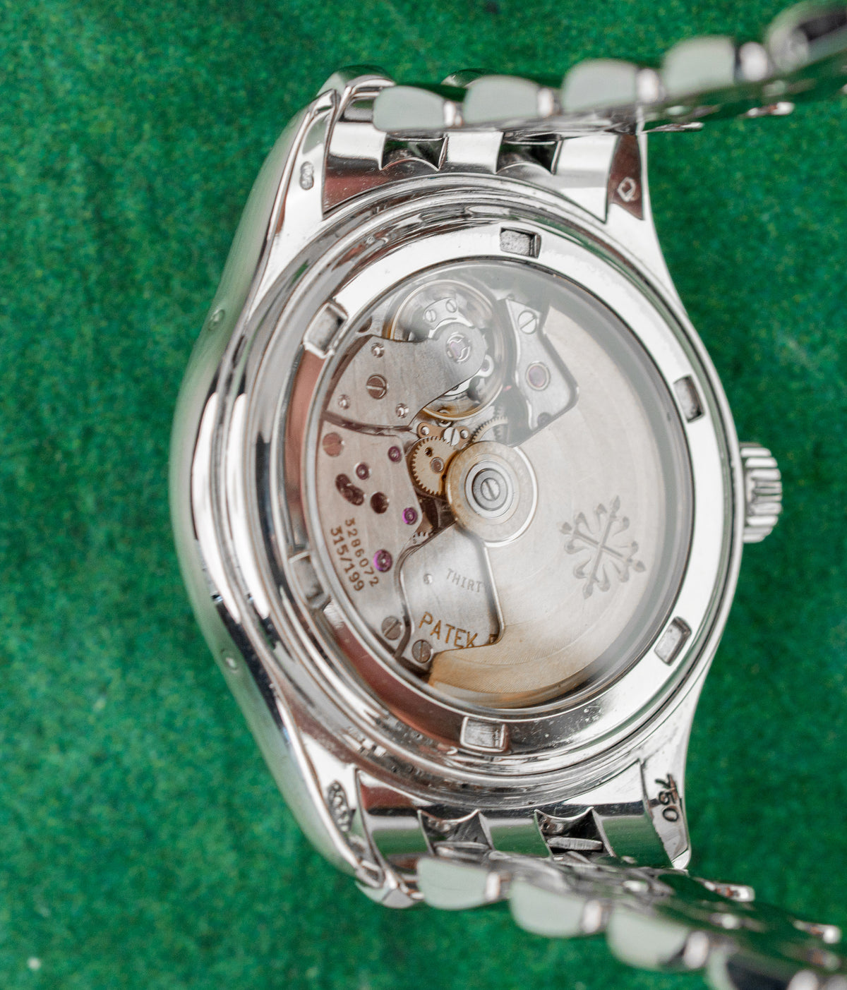 Patek Philippe Annual Calendar 5036/1G Black Roman Dial Display Caseback - The Watch Business Sydney CBD