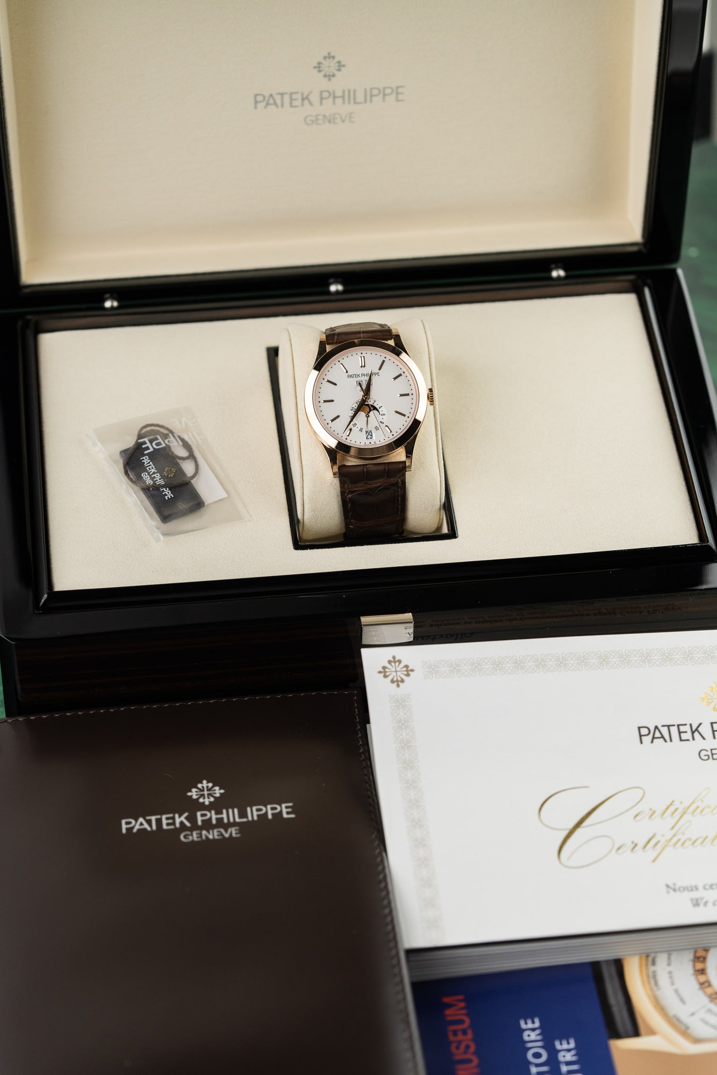 Patek Philippe Annual Calendar 5396R-011 Silvery Opaline Dial Rose Gold 2025 - The Watch Business Sydney