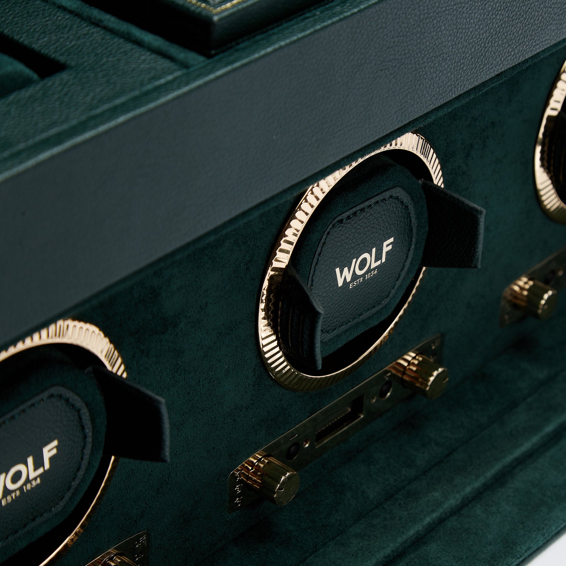 Wolf Brit Racing Green Triple Watch Winder - The Watch Business